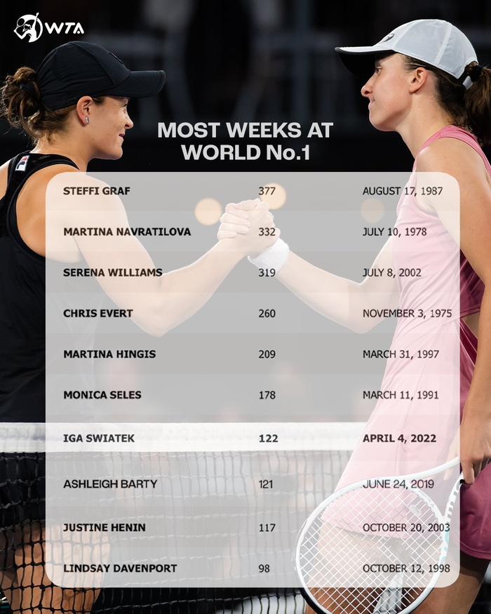 他的动向无 他的动向无