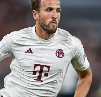 荷兰队不仅 荷兰队不仅