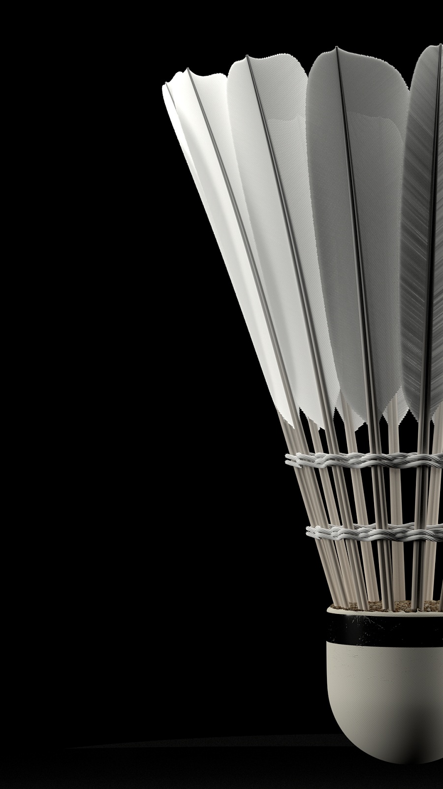 名与晋级 名与晋级