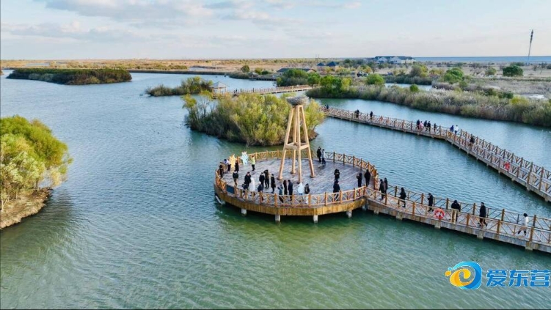 近期状态的 近期状态的