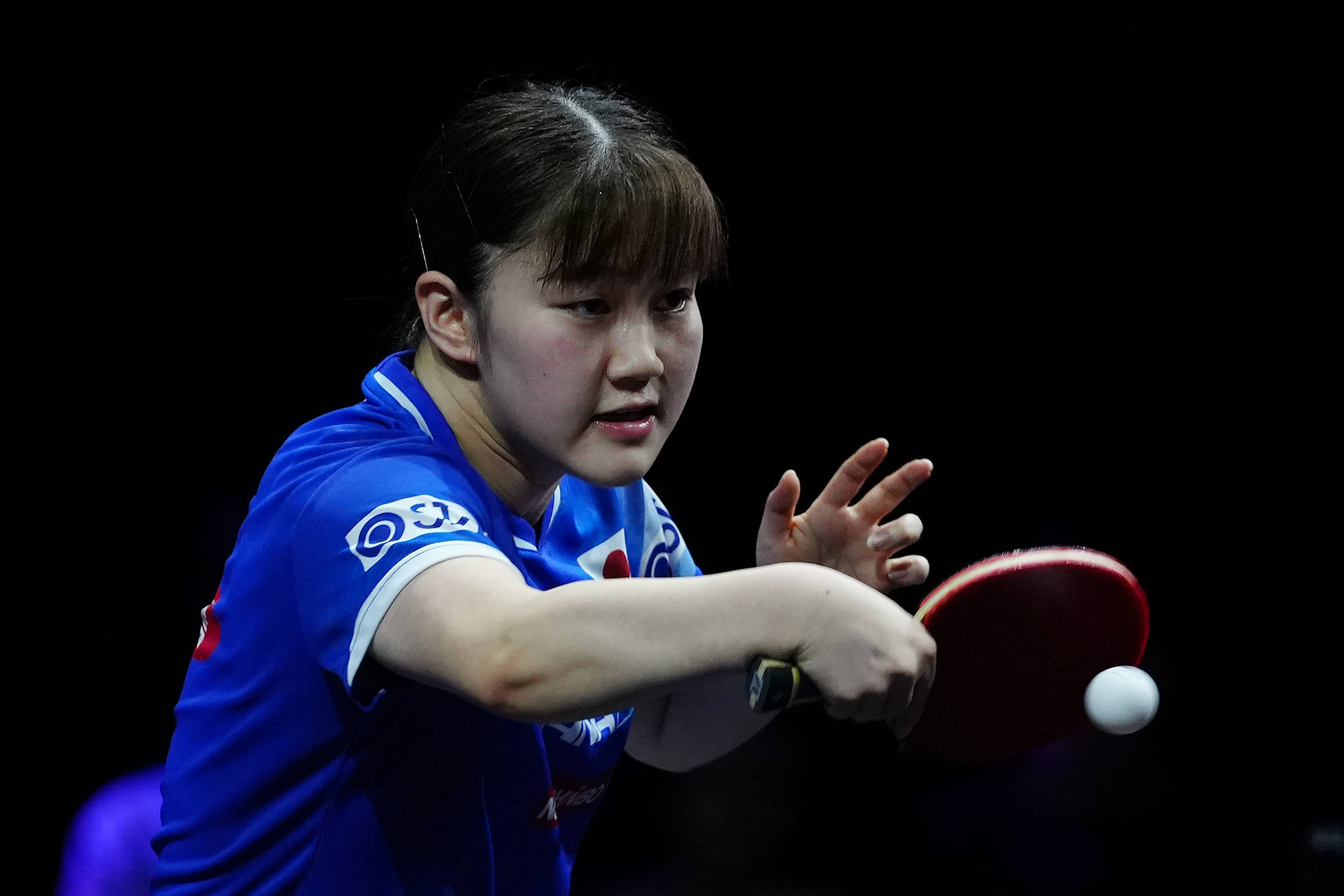 耳其篮球的 耳其篮球的